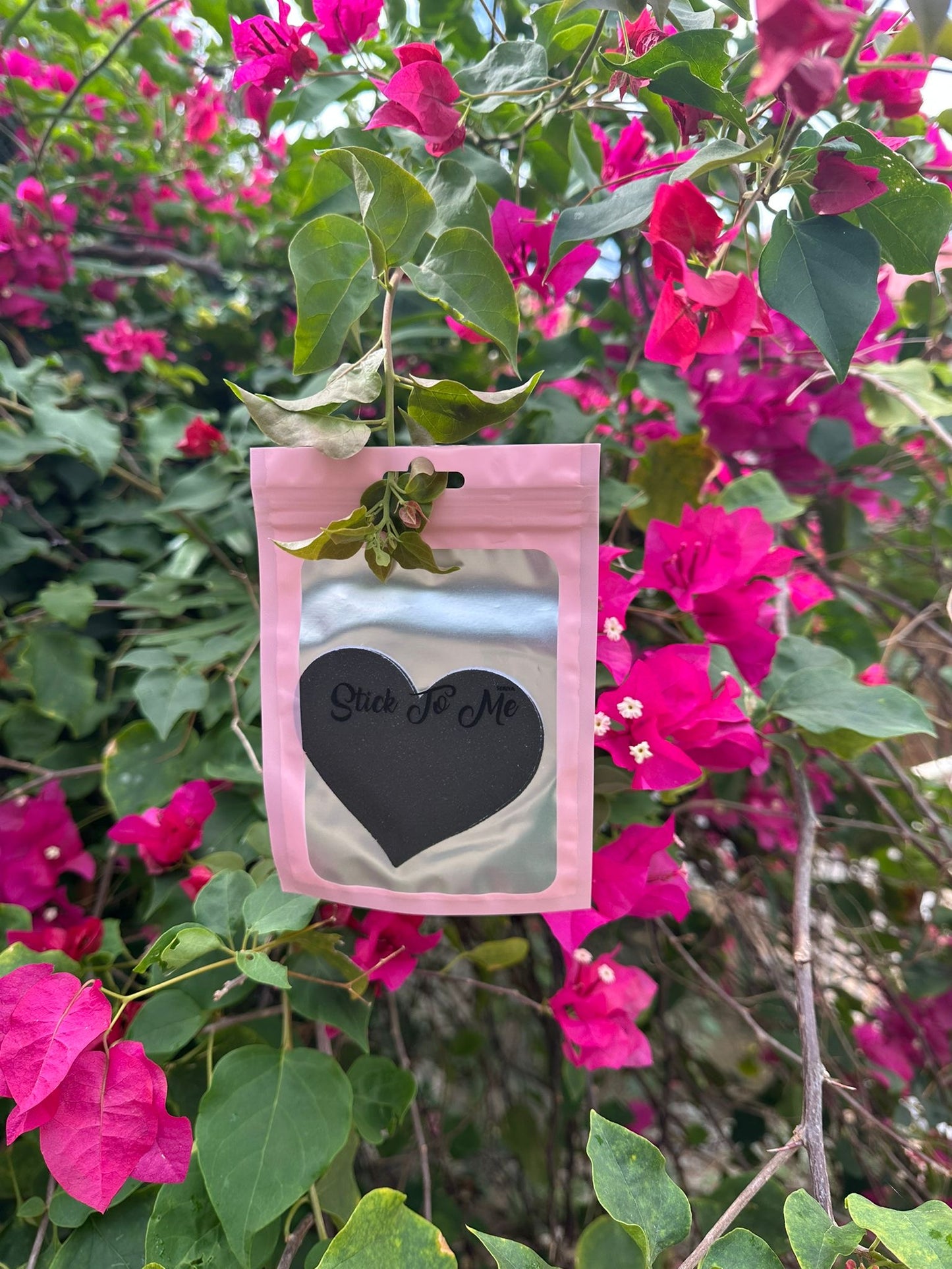 Black Sparkle Heart Pasties