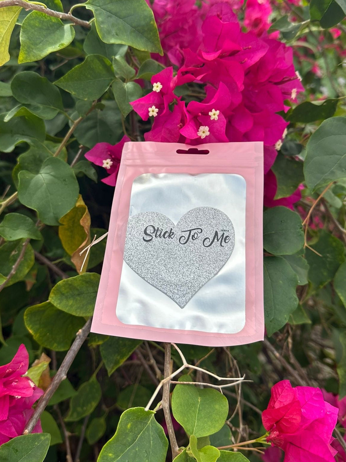 Silver Sparkle Heart Pasties