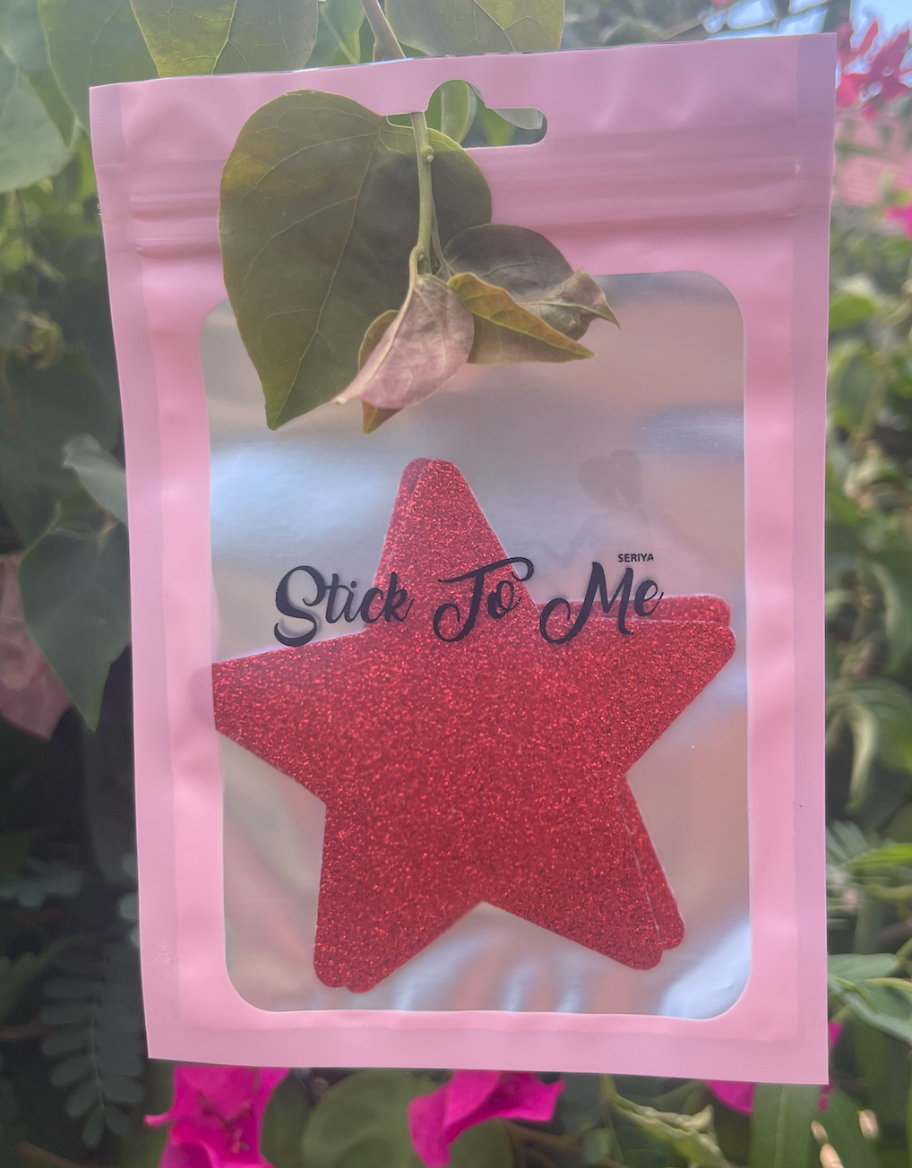 Red Sparkle Star Pasties